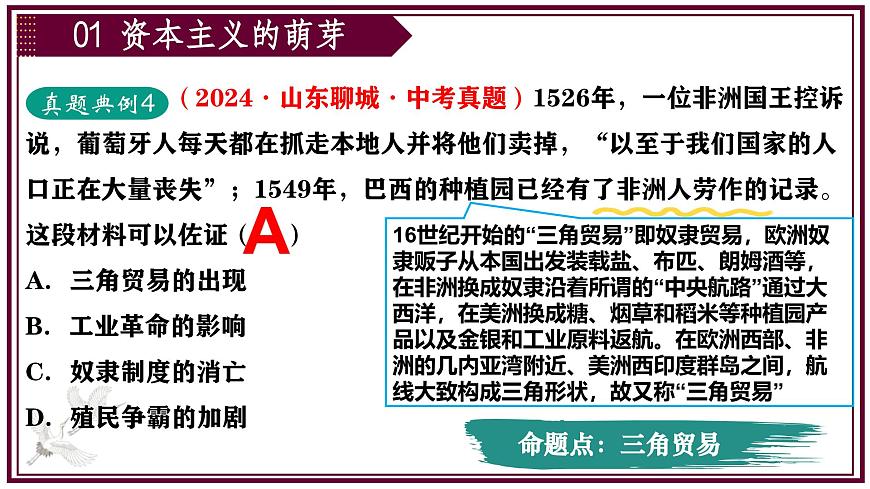 2025年中考二轮复习核心专题一遍过：专题05：世界近代史（内含9个专题） 课件第8页