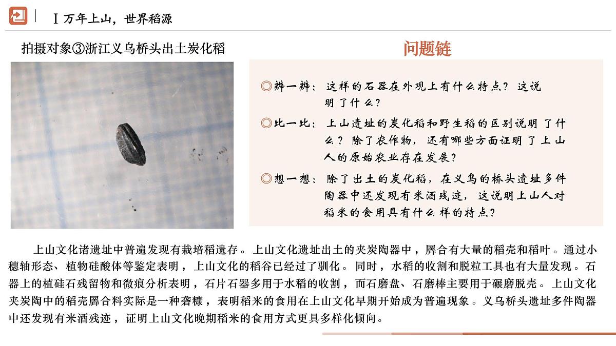 活动课《从考古发现看中华文明的起源》教学课件 人教版历史七年级上册第6页