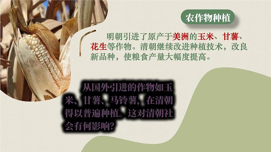 初中  历史  人教版（2024）  七年级下册（2024）第20课明清时期社会经济的发展 课件第7页