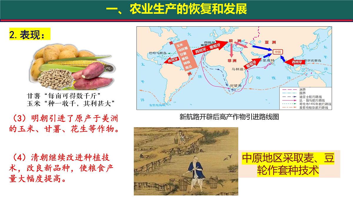 3.20 明清时期社会经济的发展 课件 2025学年统编版（2024）七年级历史下册第6页
