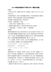 2025年陕西省榆林市子洲县中考一模历史试卷（解析版）