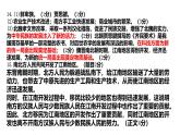 《第三單元》復(fù)習(xí)課件 部編版歷史七年級上冊