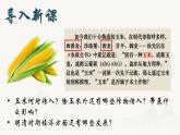 3.20++明清時(shí)期社會(huì)經(jīng)濟(jì)的發(fā)展++課件++2024-2025學(xué)年統(tǒng)編版七年級(jí)歷史下冊(cè)