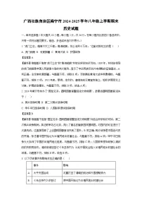 广西壮族自治区南宁市2024-2025学年八年级上学期期末历史试卷（解析版）