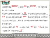 初中  歷史  人教版（2024）  七年級下冊（2024）第15課 明朝的統(tǒng)治 課件