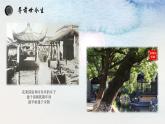 21《活動(dòng)課：讓我們共同來感受歷史》課件 浙江地區(qū) 部編版歷史七年級(jí)上冊(cè)