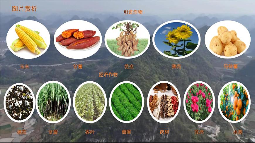 初中  历史  人教版（2024）  七年级下册（2024）第20课明清时期社会经济的发展 课件第4页