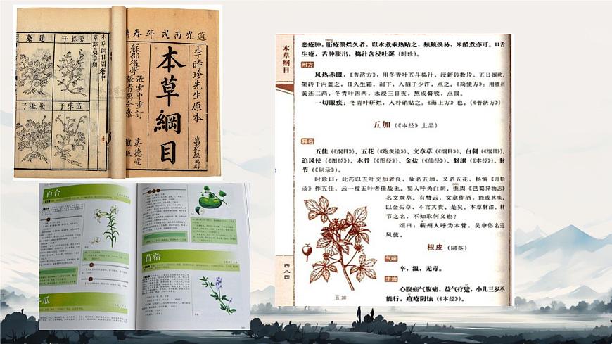 初中  历史  人教版（2024）  七年级下册（2024）第21课 明清时期的科技与文化 课件第4页