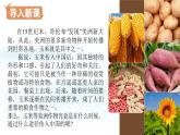第20課+明清時(shí)期社會(huì)經(jīng)濟(jì)的發(fā)展（課件）-2024-2025學(xué)年七年級(jí)歷史下冊(cè)素養(yǎng)提升課件（統(tǒng)編版2024）