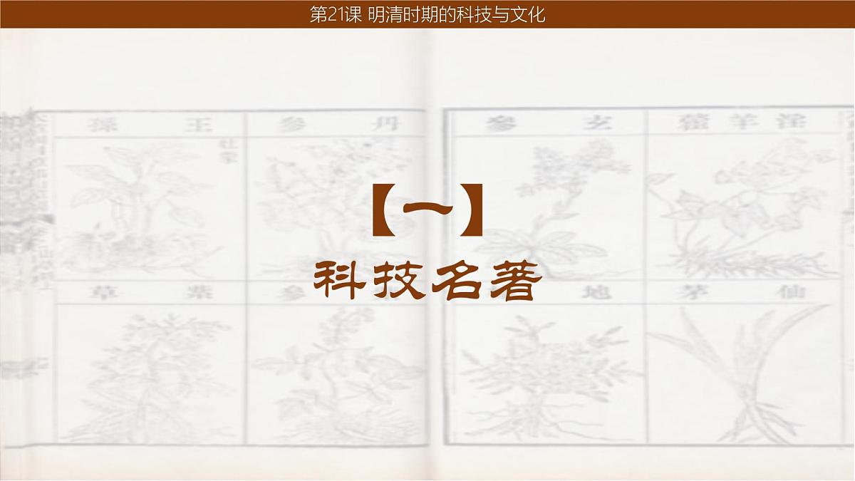 统编版七年级历史下册第21课《明清时期的科技与文化》课件第3页