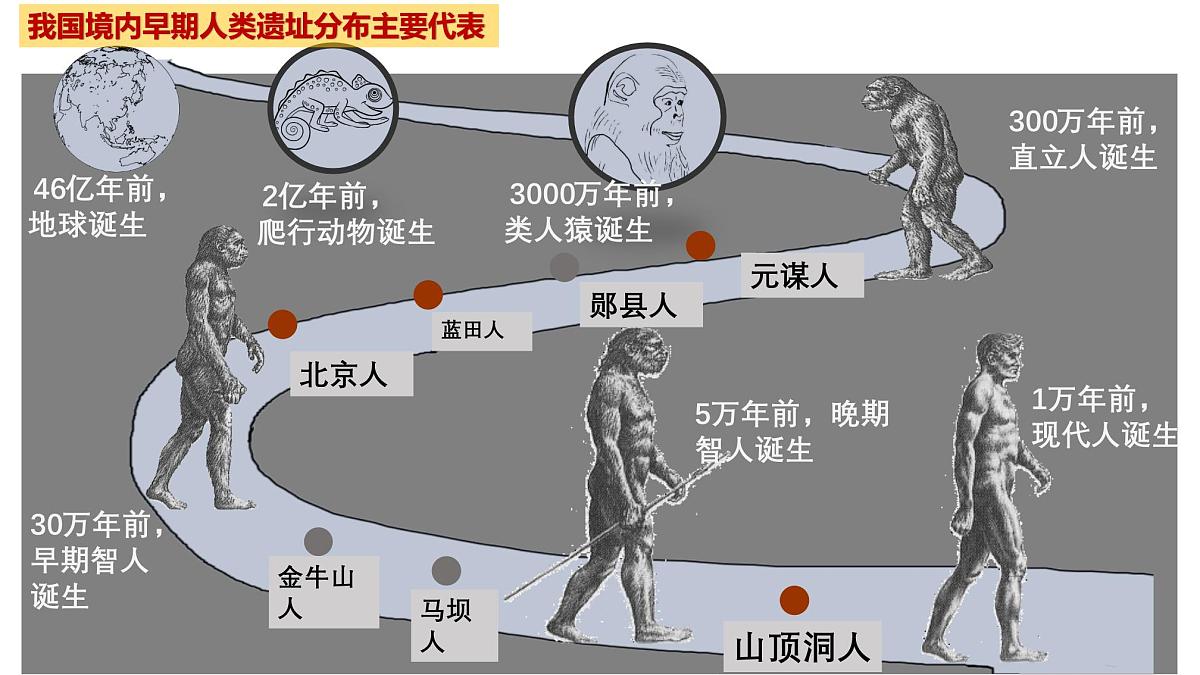 部编版（2024）历史七年级上册 第1课 远古时期的人类活动  课件第8页