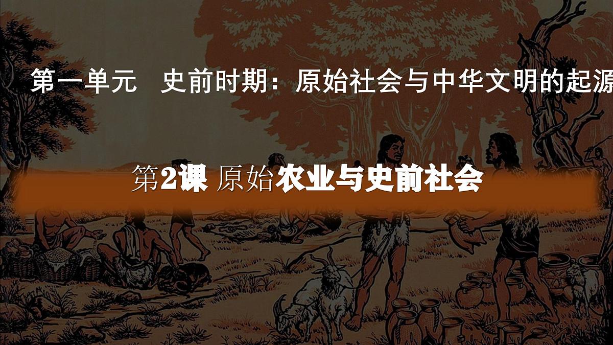 部编版（2024）历史七年级上册 第2课 原始农业与史前社会 课件第2页