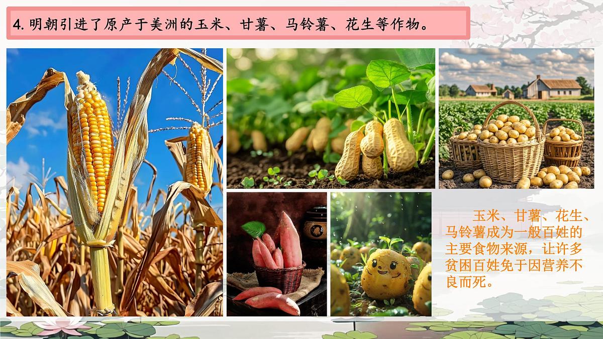 3.20 明清时期社会经济的发展 课件 2024-2025学年统编版七年级历史下册第4页