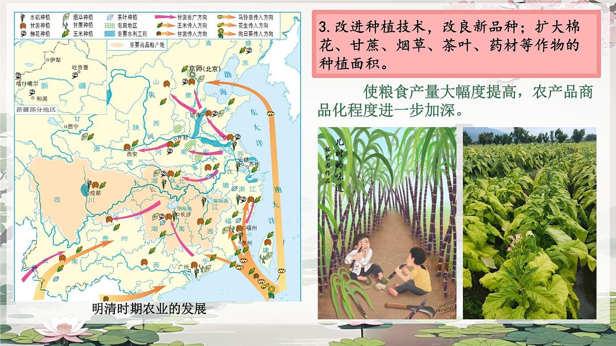 3.20 明清时期社会经济的发展 课件 2024-2025学年统编版七年级历史下册第7页