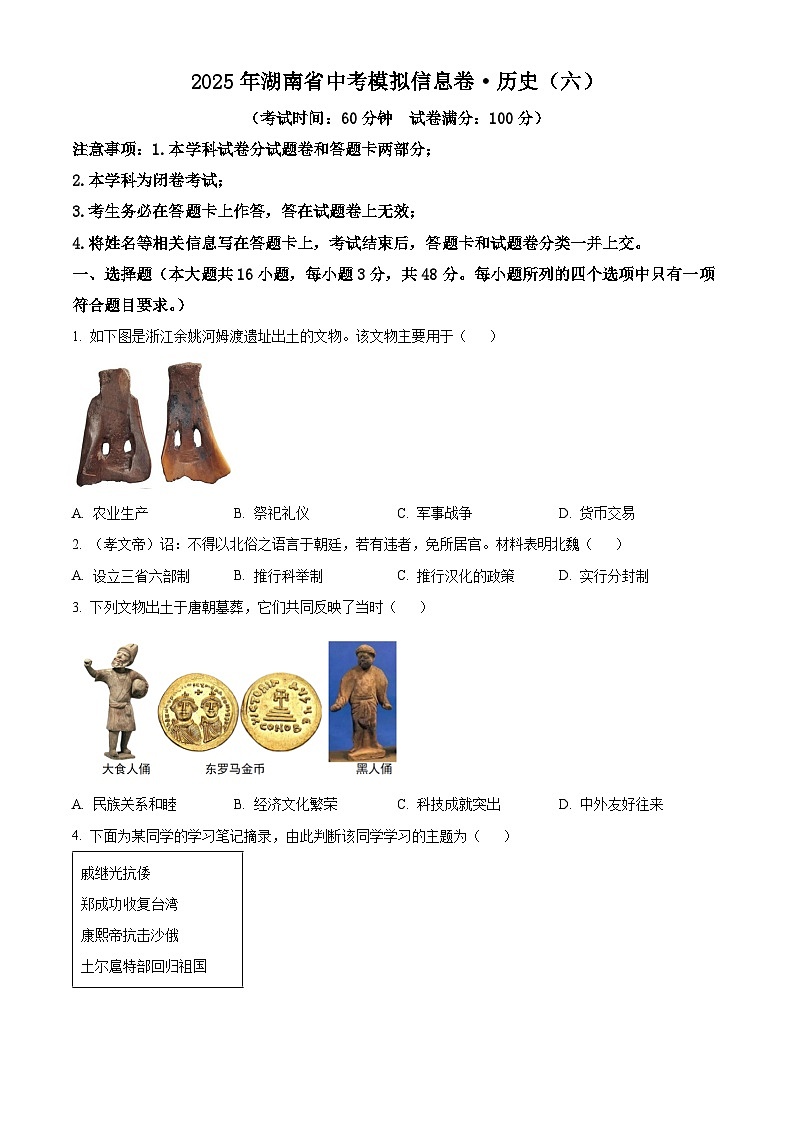 2025年湖南省邵阳市新宁县中考二模历史试题（中考模拟）第1页