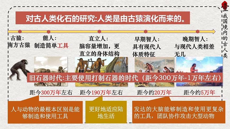 初中历史统编版（2024）七年级上册 第1课 远古时期的人类活动——课件第7页