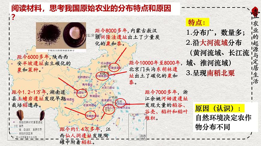 初中历史统编版（2024）七年级上册第2课 原始农业与史前社会——课件第8页