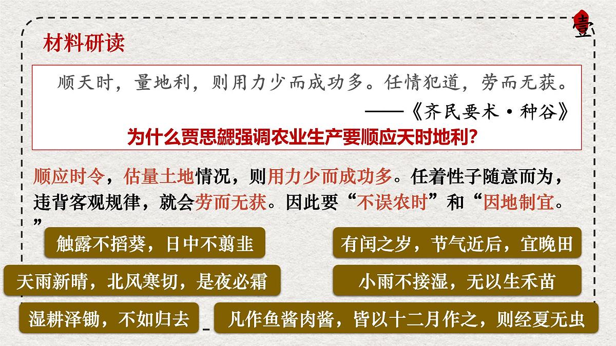 初中历史统编版（2024）七年级上册第20课 三国两晋南北朝时期的科技与文化——课件第8页