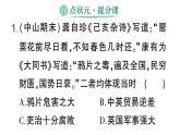 初中歷史新人教版八年級上冊第一單元第一課 鴉片戰(zhàn)爭作業(yè)課件（2025秋）