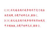 初中歷史新人教版八年級上冊第七單元學史方法作業(yè)課件（2025秋）