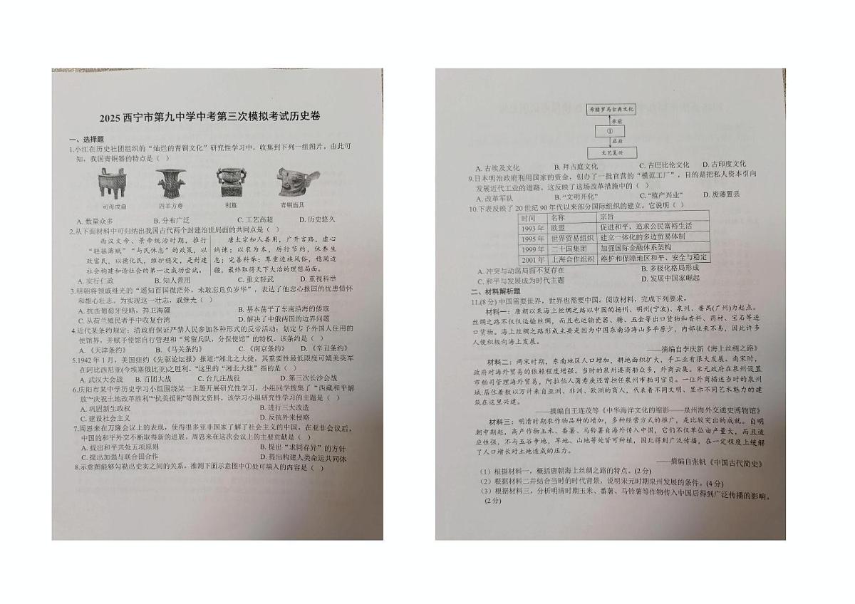 2025年青海省西宁市第九中学中考第三次模拟考试历史试题（中考模拟）第1页