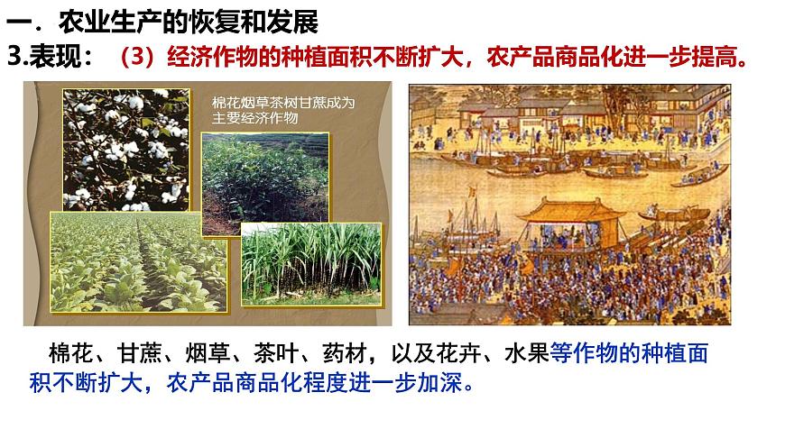 统编版七年级历史下学期第20课《明清时期社会经济的发展》课件第6页