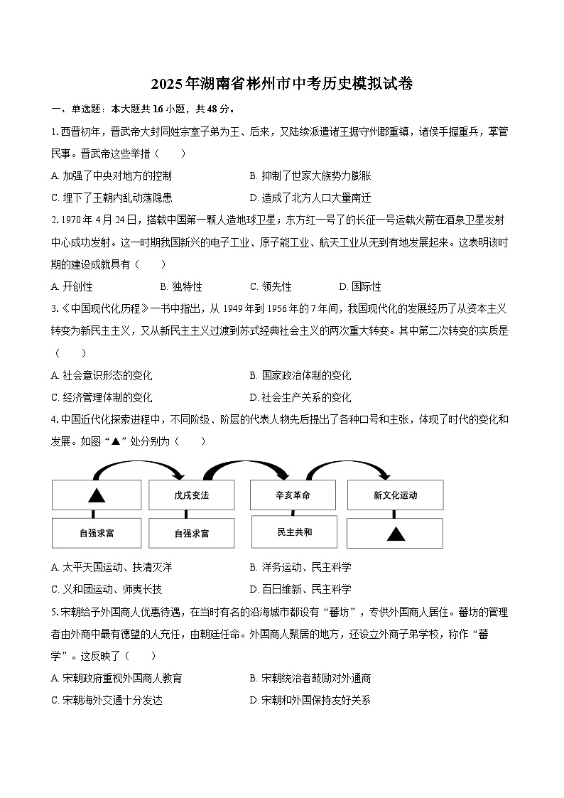 2025年湖南省彬州市中考历史模拟试卷第1页