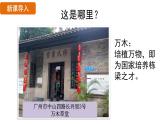人教版（2024）歷史八年級上冊 第6課 戊戌變法（課件）