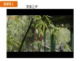 人教版（2024）歷史八年級上冊 第11課 五四運動（課件）