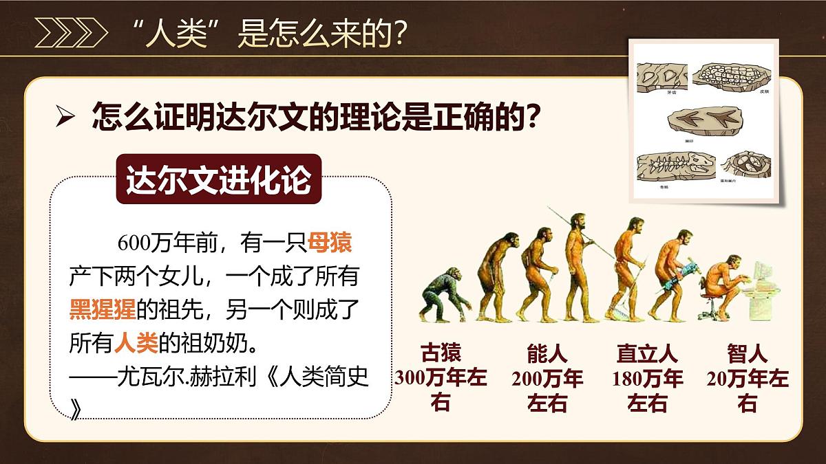 统编版历史七年级上册第1课《远古时期的人类活动》【教学课件】第3页