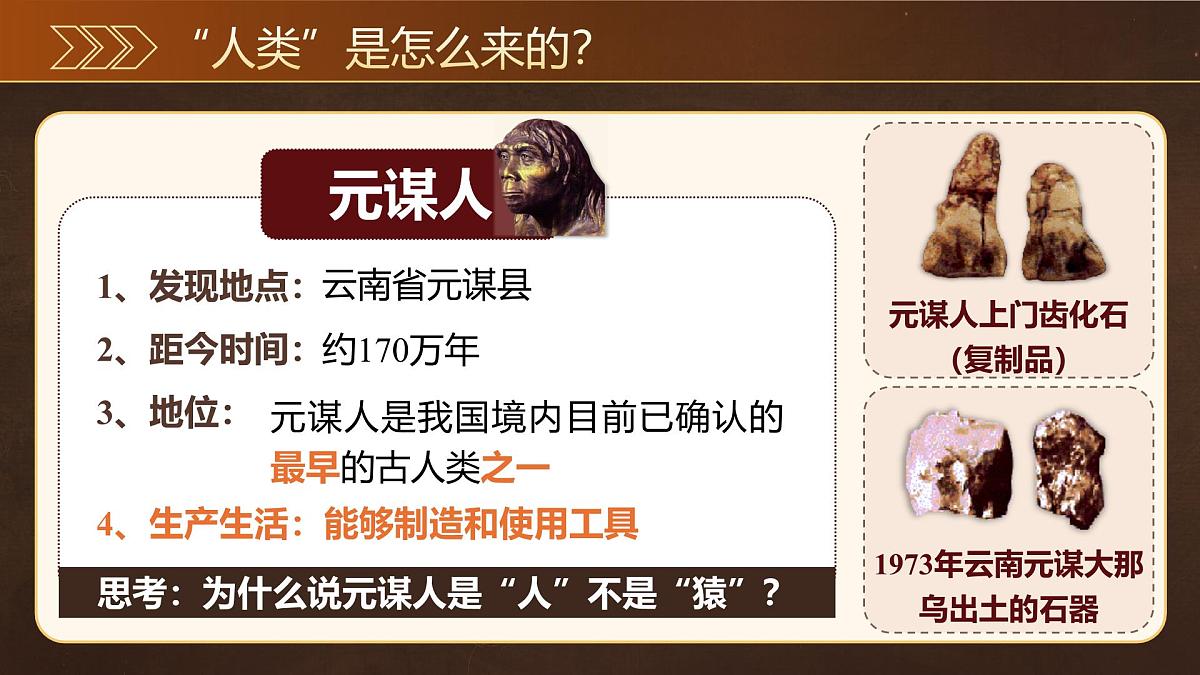 统编版历史七年级上册第1课《远古时期的人类活动》【教学课件】第6页