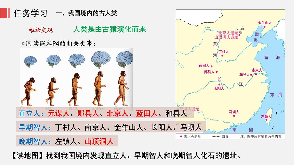 人教版七年级上册历史第一课 远古时期的人类活动课件第7页