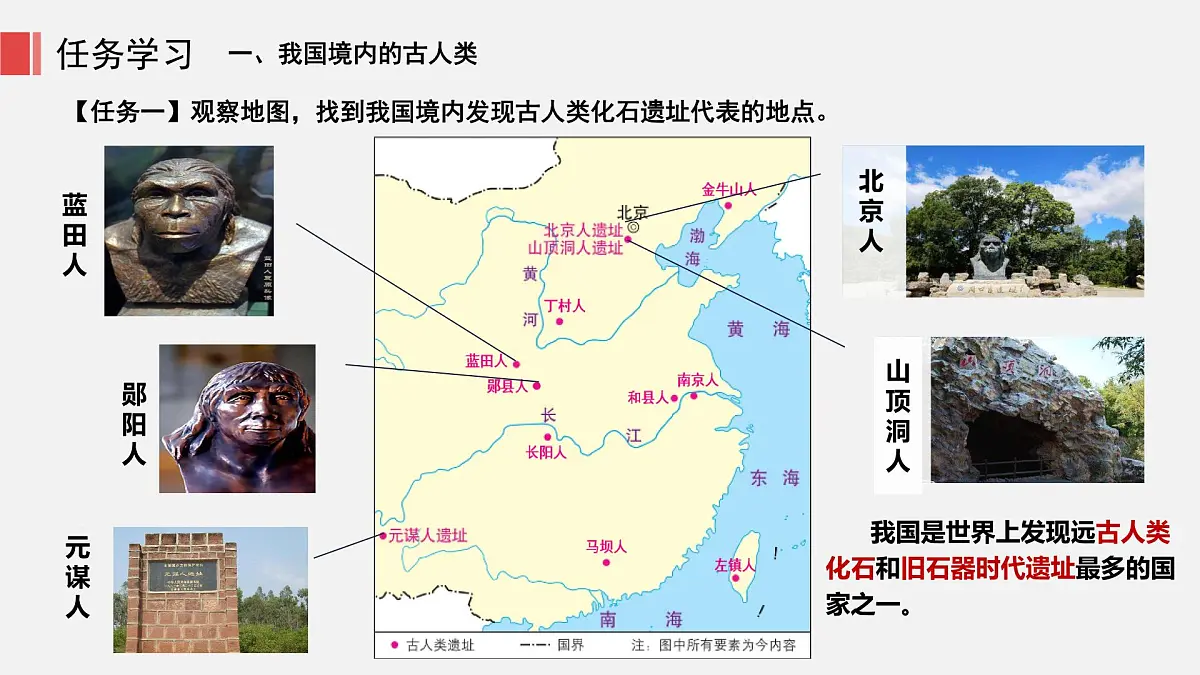 人教版七年级上册历史第一课 远古时期的人类活动课件第8页