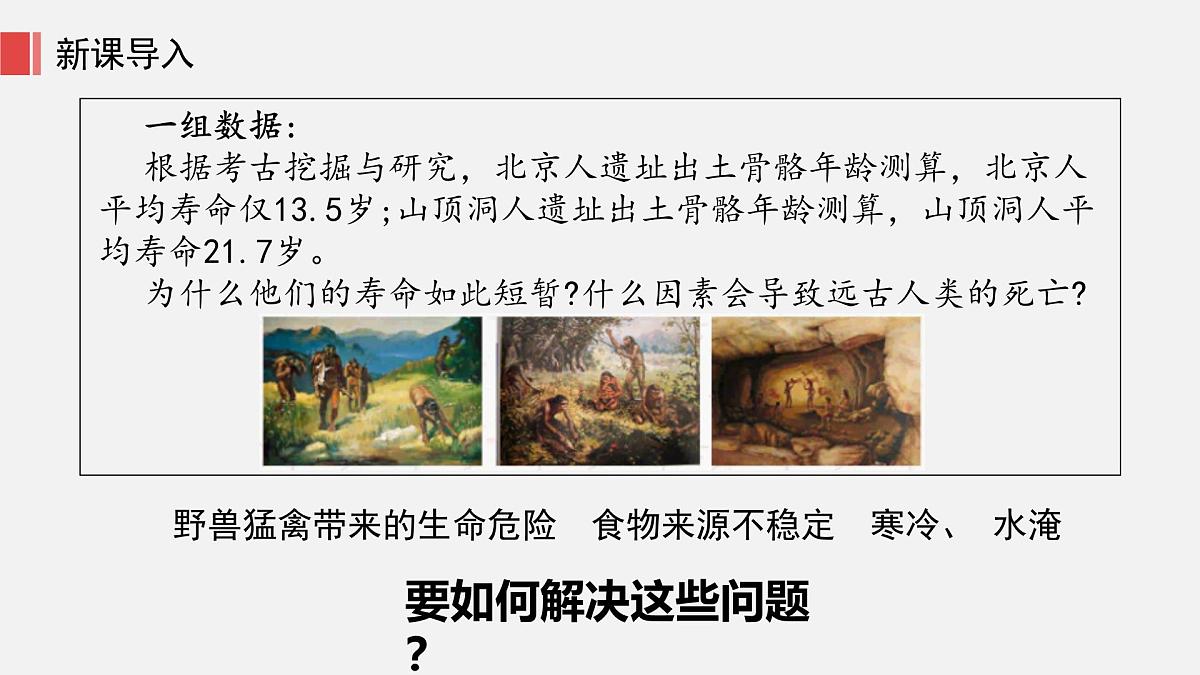 人教版七年级上册历史第二课 原始农业与史前社会课件第4页