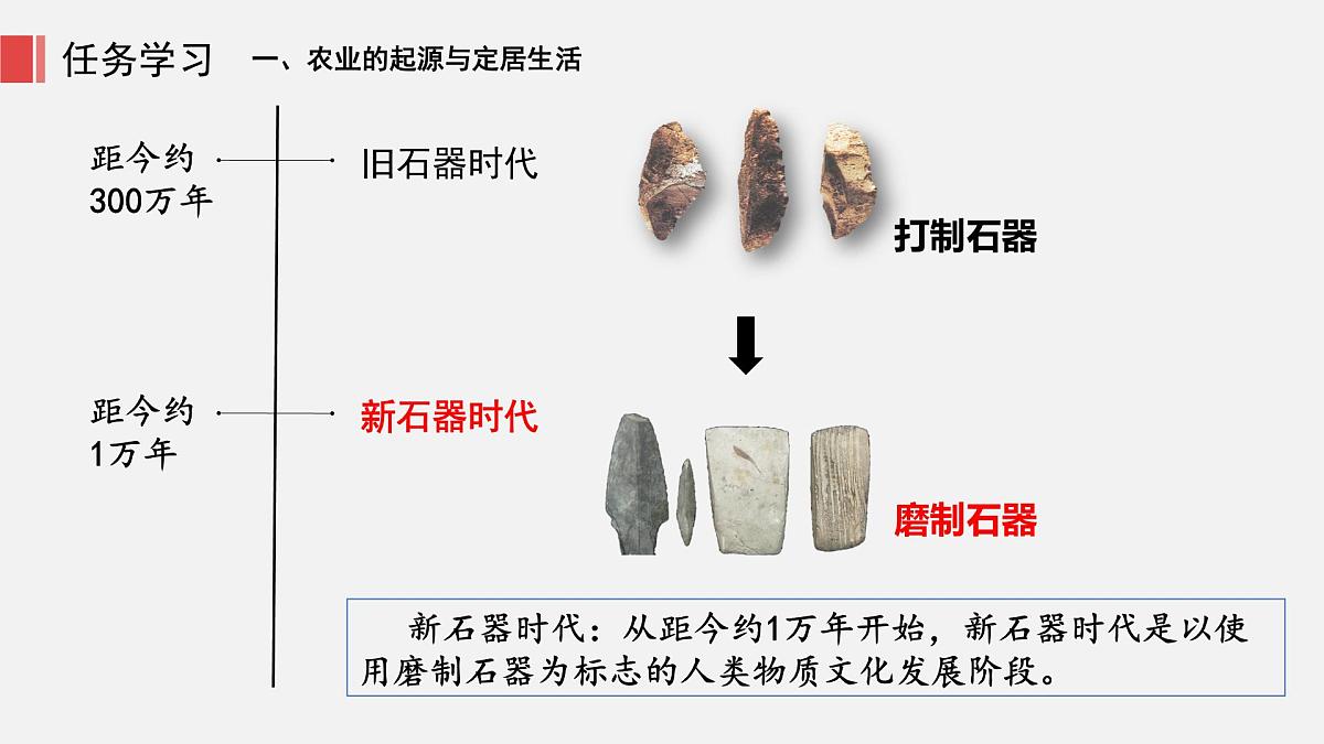 人教版七年级上册历史第二课 原始农业与史前社会课件第6页