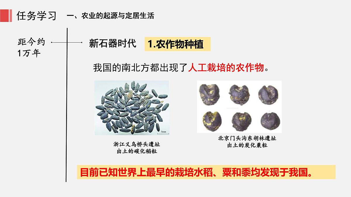 人教版七年级上册历史第二课 原始农业与史前社会课件第7页