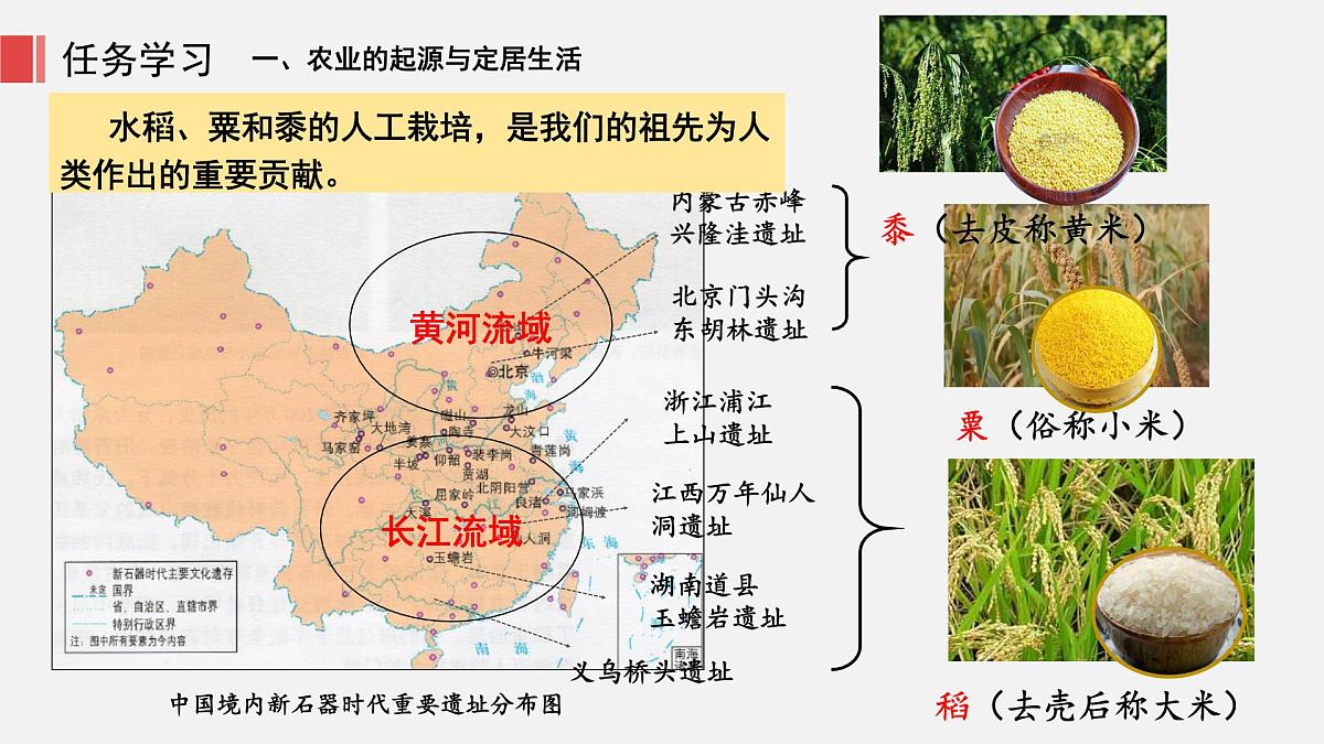 人教版七年级上册历史第二课 原始农业与史前社会课件第8页