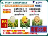 部編版初中歷史7年級上冊 第2課  原始農(nóng)業(yè)與史前社會(huì) 課件
