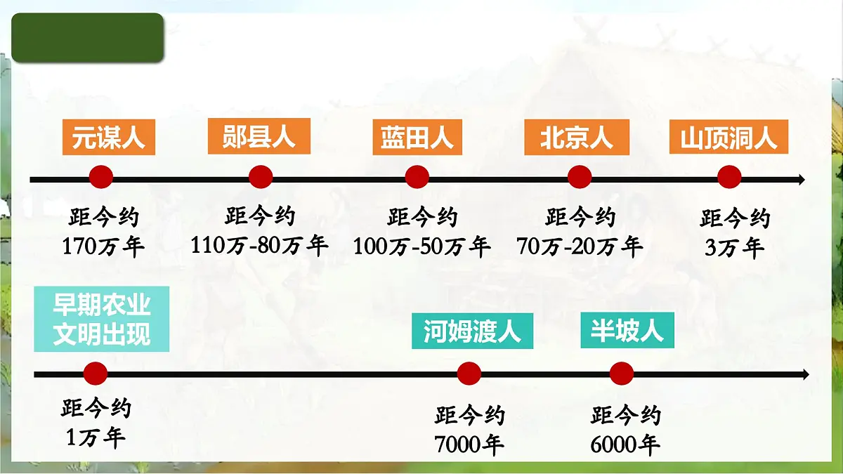 统编版初中历史七年级上册第2课 原始农业与史前社会 课件第3页