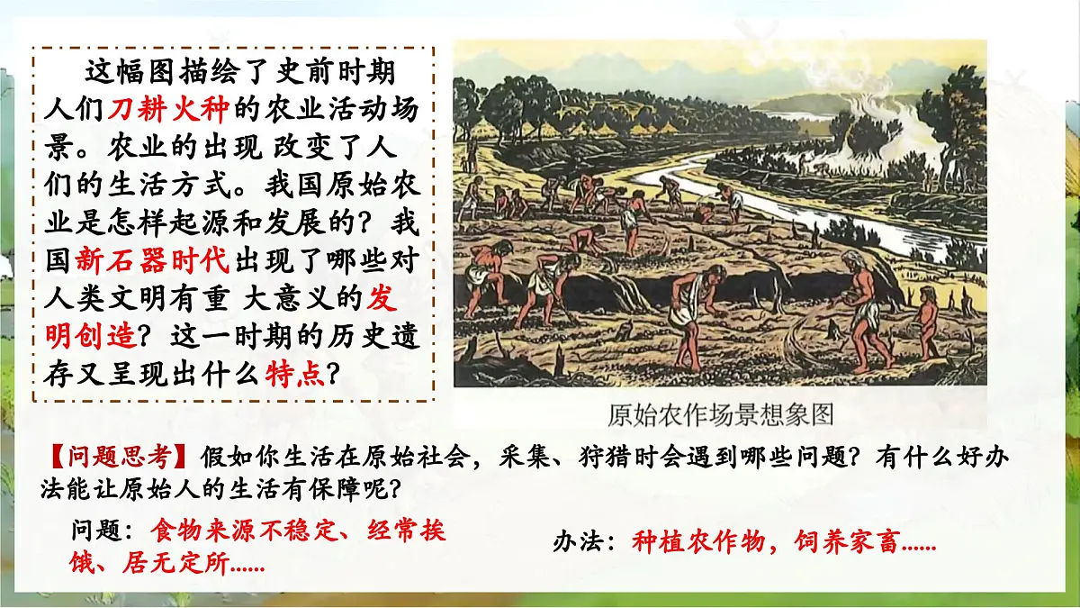 统编版初中历史七年级上册第2课 原始农业与史前社会 课件第5页