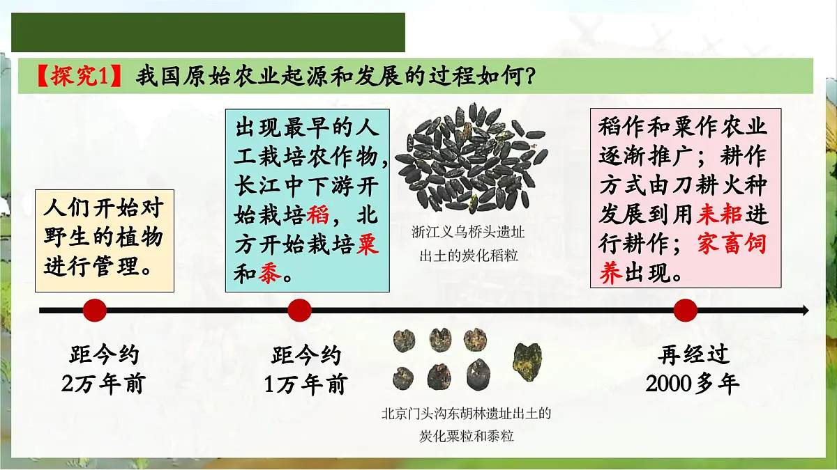 统编版初中历史七年级上册第2课 原始农业与史前社会 课件第6页