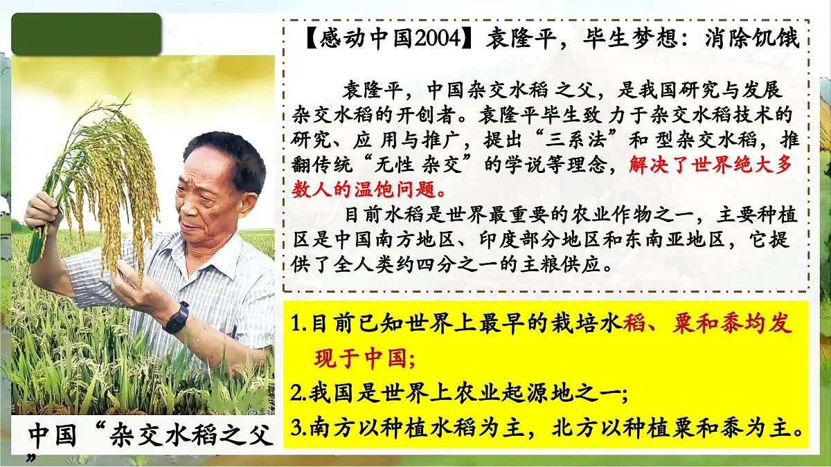 统编版初中历史七年级上册第2课 原始农业与史前社会 课件第7页