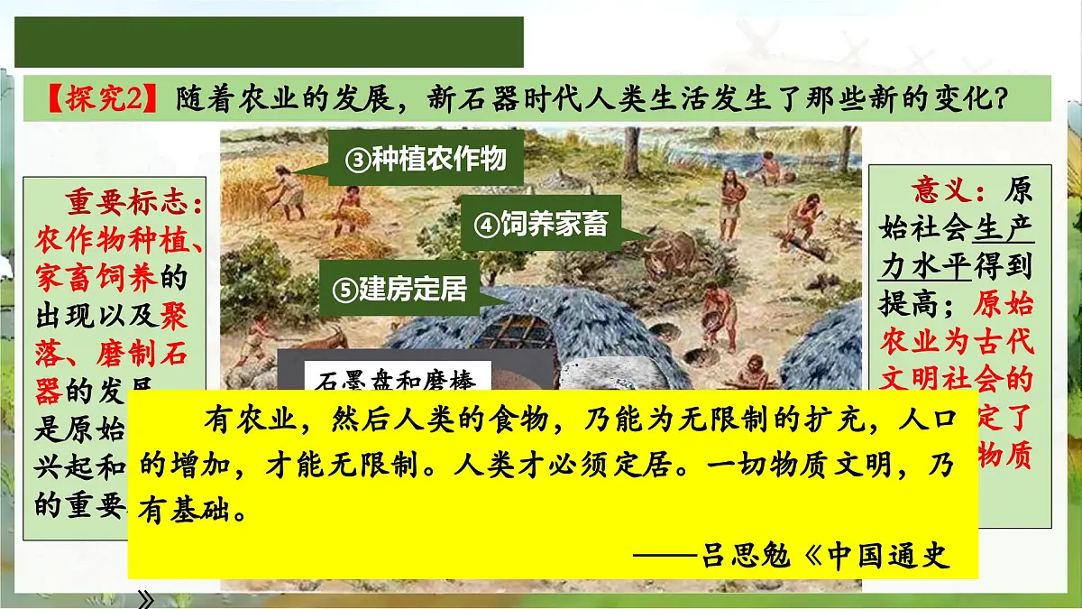 统编版初中历史七年级上册第2课 原始农业与史前社会 课件第8页
