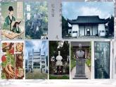 3.21 明清時期的科技與文化 課件 2024-2025學(xué)年統(tǒng)編版七年級歷史下冊
