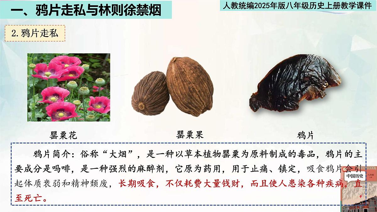 人教统编2025年版八年级历史上册第1课 鸦片战争   教学课件第5页