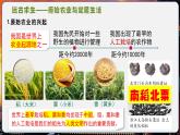 【统编版五四制】初中历史   中国历史第一册  第2课 原始农业与史前社会（课件+教学设计+作业）
