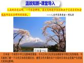 第11課 古代日本  課件-2025-2026學(xué)年初中世界歷史第一冊(cè)（統(tǒng)編版五四制）