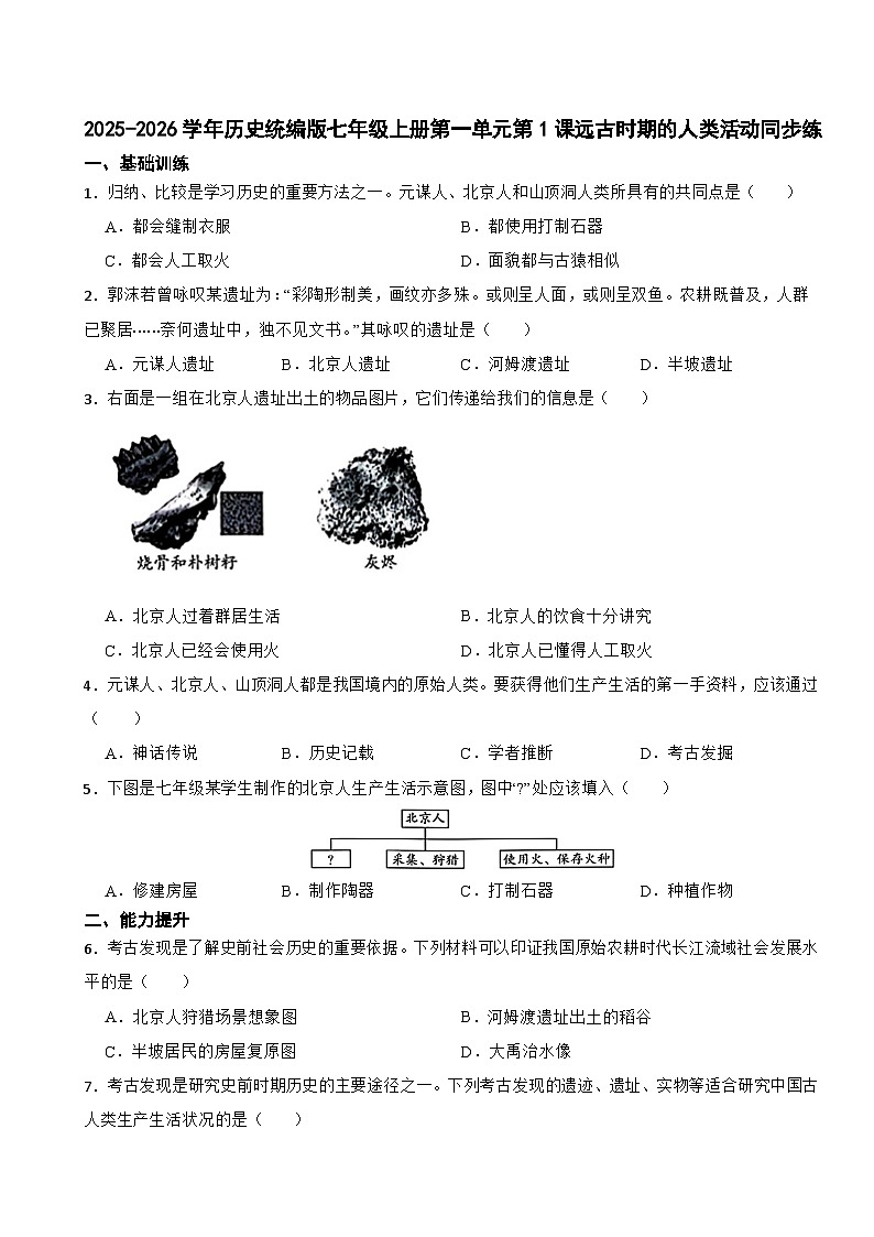 2025-2026学年历史统编版七年级上册第一单元第1课远古时期的人类活动同步练（有答案）第1页