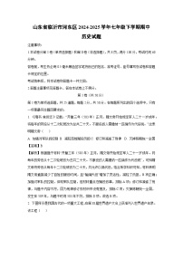山东省临沂市河东区2024-2025学年七年级下学期期中历史试题（解析版）