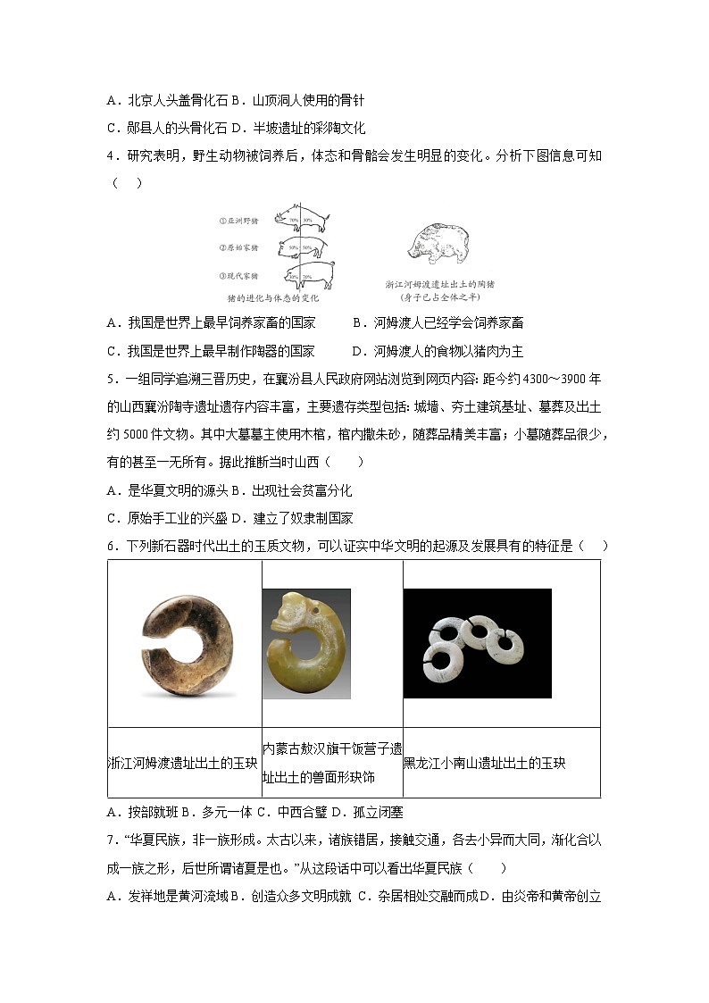 2025~2026学年山东省青岛市七年级（上）期中模拟卷历史试题（学生版）第2页